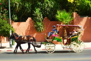 Marrakech: Menara Gardens Tour & Carriage Ride: Majorelle & Menara Gardens Tour & Carriage Ride