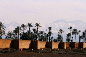 Marrakech : visite jardins Majorelle et Ménara, promenade en calèche