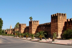 Marrakesz: wycieczka po ogrodach Majorelle i Menara oraz przejażdżka bryczką