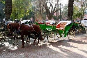 Marrakech : visite jardins Majorelle et Ménara, promenade en calèche