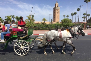 Marrakesz: wycieczka po ogrodach Majorelle i Menara oraz przejażdżka bryczką