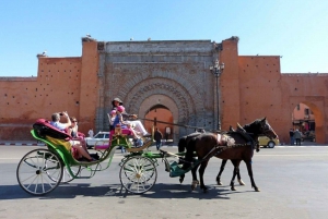 Marrakech: jardines de Majorelle y Menara y paseo en carro
