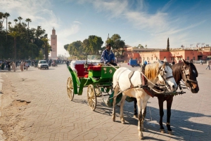 Marrakech: tour dei Giardini Majorelle e Menara con giro in carrozza
