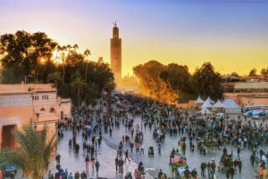 Marrakech: Excursão de 3 Horas aos Monumentos e Mercados