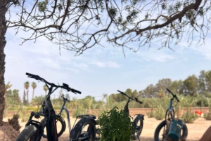 Marrakech : excursion en trottinette électrique tout-terrain dans la Palmeraie