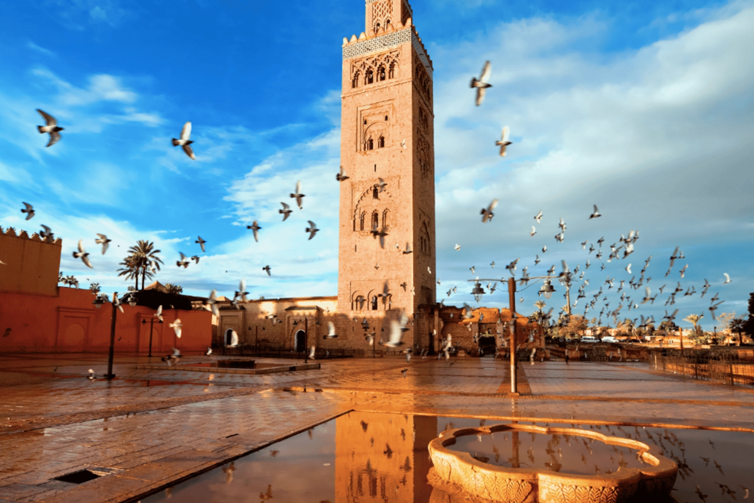 Marrakech: Gamle og nye Marrakech Privat dagstur med guide