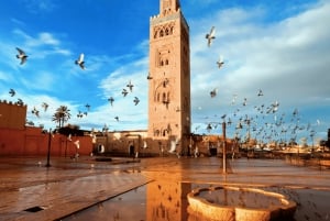 Marrakech: Gamle og nye Marrakech Privat dagstur med guide