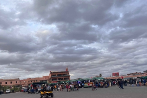 Marrakech: Gamle og nye Marrakech Privat dagstur med guide