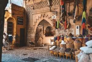 Marrakech: Gamle og nye Marrakech Privat dagstur med guide
