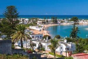 Marrakech: Oualidia y Safi en la costa atlántica, excursión de un día