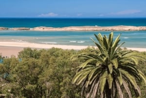 Marrakech: Oualidia y Safi en la costa atlántica, excursión de un día