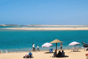 Marrakech: Oualidia y Safi en la costa atlántica, excursión de un día