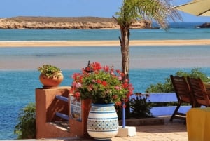 Marrakech: Oualidia y Safi en la costa atlántica, excursión de un día