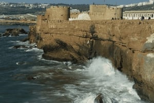 Marrakech: Oualidia y Safi en la costa atlántica, excursión de un día