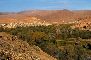 Marraquexe/Ouarzazate: 2 dias no deserto com camelo, 4x4 e refeições