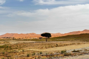 Marraquexe/Ouarzazate: 2 dias no deserto com camelo, 4x4 e refeições