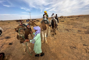 Marraquexe/Ouarzazate: 2 dias no deserto com camelo, 4x4 e refeições