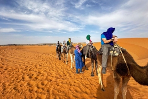 Marraquexe/Ouarzazate: 2 dias no deserto com camelo, 4x4 e refeições