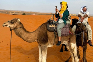Marraquexe/Ouarzazate: 2 dias no deserto com camelo, 4x4 e refeições