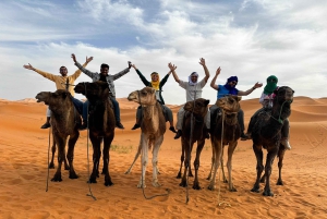 Marraquexe/Ouarzazate: 2 dias no deserto com camelo, 4x4 e refeições