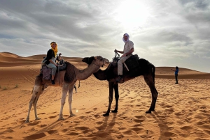 Marraquexe/Ouarzazate: 2 dias no deserto com camelo, 4x4 e refeições