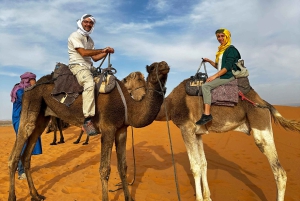 Marraquexe/Ouarzazate: 2 dias no deserto com camelo, 4x4 e refeições