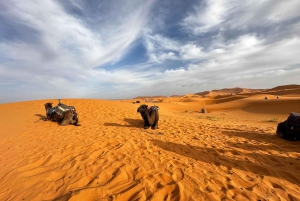 Marraquexe/Ouarzazate: 2 dias no deserto com camelo, 4x4 e refeições