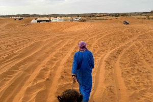 Marraquexe/Ouarzazate: 2 dias no deserto com camelo, 4x4 e refeições
