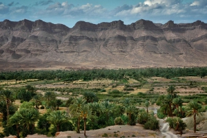 Marraquexe/Ouarzazate: 2 dias no deserto com camelo, 4x4 e refeições