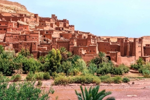 Marrakech: Ouarzazate and Ait Benhaddou Day Trip & Kasbah