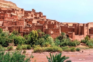 Marrakech: Viagem de 1 dia a Ouarzazate e Ait Benhaddou e Kasbah