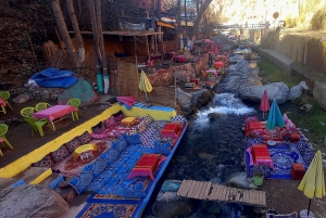 Marrakech: ourika valley Atlas Mountains & Waterfalls Trip