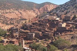 Marrakech: ourika valley Atlas Mountains & Waterfalls Trip