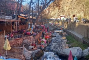 Marrakech: ourika valley Atlas Mountains & Waterfalls Trip