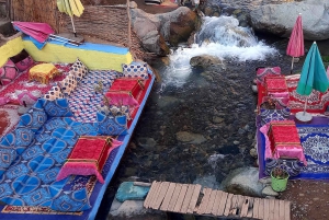 Marrakech: ourika valley Atlas Mountains & Waterfalls Trip