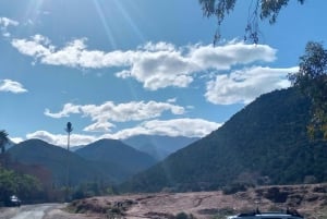 Marrakech: ourika valley Atlas Mountains & Waterfalls Trip