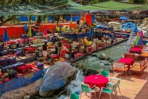 Marrakesz: rzeka Ourika, wodospady, wycieczka z przewodnikiem i lunch