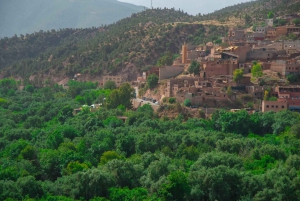 Marrakesz: rzeka Ourika, wodospady, wycieczka z przewodnikiem i lunch