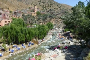 Marrakech: Ourika Valley and Atlas Mountains Day Trip