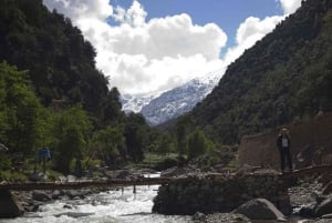 Ourika Valley and Atlas Mountains Day Trip