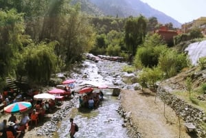 Ourika Valley and Atlas Mountains Day Trip