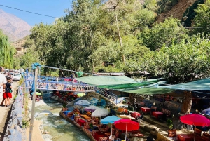 Marrakech : excursion d'une journée dans la vallée de l'Ourika et aux cascades avec guide