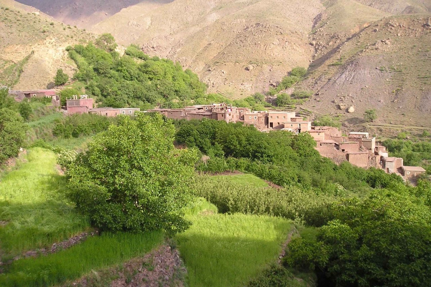 From Marrakech: Ourika Valley Trip, Waterfall Hike & Lunch