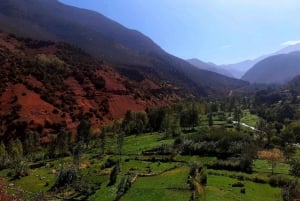 Marrakech: Valle del Ourika, Montaña del Atlas, Cascadas y Guía