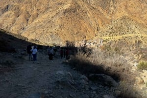 Marrakech: Ourika Valley, Atlas Waterfalls with Guide &Lunch