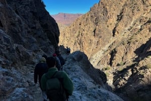 Marrakech: Ourika Valley, Atlas Waterfalls with Guide &Lunch