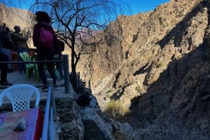 Marrakech: Ourika Valley, Atlas Waterfalls with Guide &Lunch