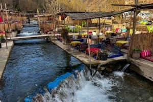 Marrakech: Ourika Valley, Atlas Waterfalls with Guide &Lunch