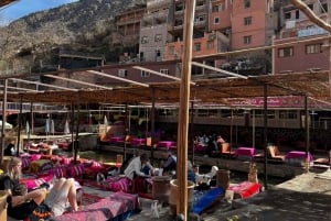 Marrakech: Ourika Valley, Atlas Waterfalls with Guide &Lunch