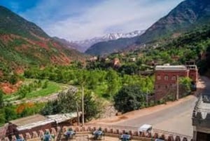 Marrakech: Atlas Mountains, Ourika Valley, Waterfall & Lunch